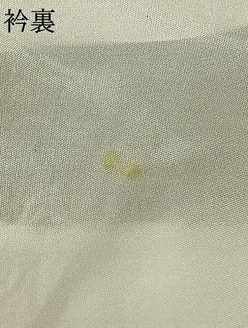 平和屋着物▽上質な紬 単衣 草花文 正絹 逸品 AAAZ9156fy