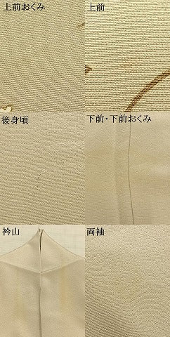 平和屋着物▽訪問着 単衣 舞蝶花鳥文 金糸 金彩 正絹 逸品 AAAZ9633fy