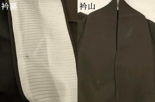 平和屋着物*夏物 訪問着 絽 草花文 正絹 逸品 AABA2764jd