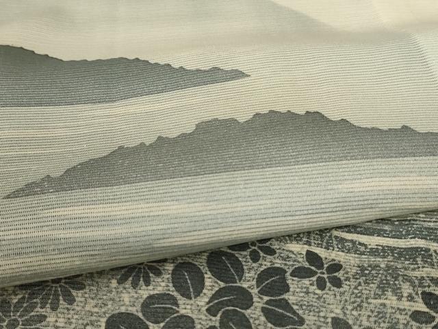平和屋着物*夏物 訪問着 絽 風景文 正絹 逸品 AABA2792jd