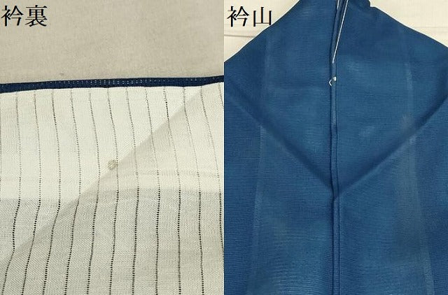 平和屋着物*夏物 訪問着 絽 流水花文 洗える着物 AABA5696sx