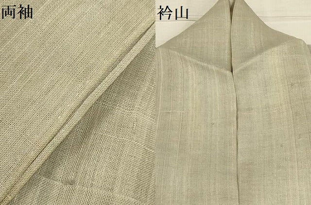 平和屋着物*夏物 訪問着 生紬 草花文 銀彩 正絹 逸品 AABA5779sx