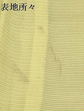 平和屋着物*夏物 訪問着 絽 流水籬文 暈し染め 正絹 逸品 AABA5786sx