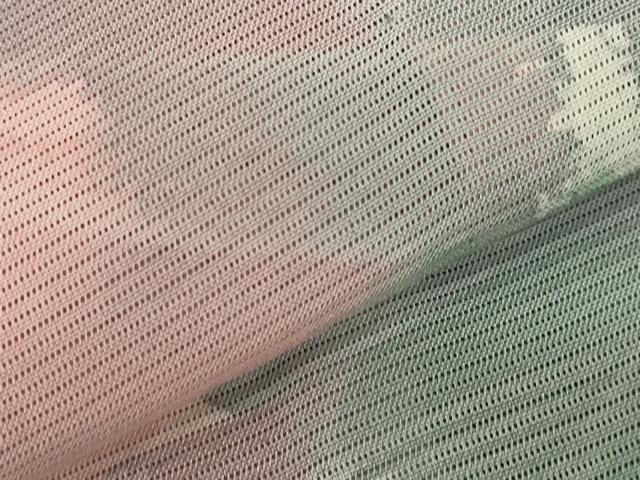 平和屋着物*夏物 小紋 絽 霞文 暈し染め 正絹 逸品 AABA6858st