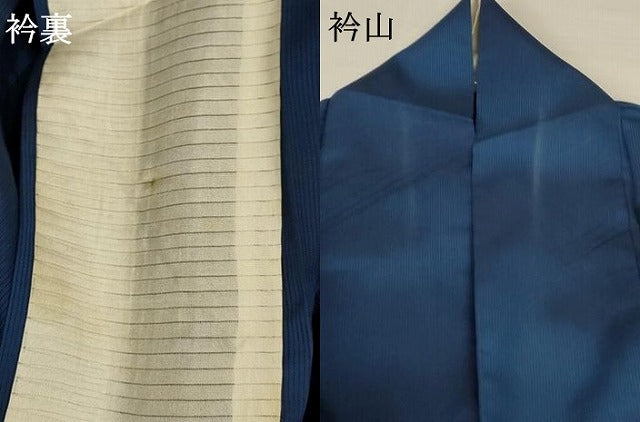 平和屋着物*夏物 小紋 縦絽 霞文 暈し染め 正絹 逸品 AABA9361jd