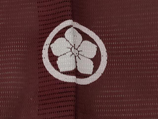 平和屋着物*夏物 色無地 絽 葡萄茶 洗える着物 AABB0490st