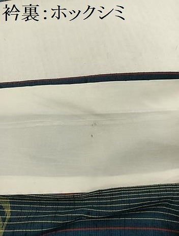 平和屋着物▽上質な紬 単衣 流水舞蝶文 正絹 逸品 AABB0868uw