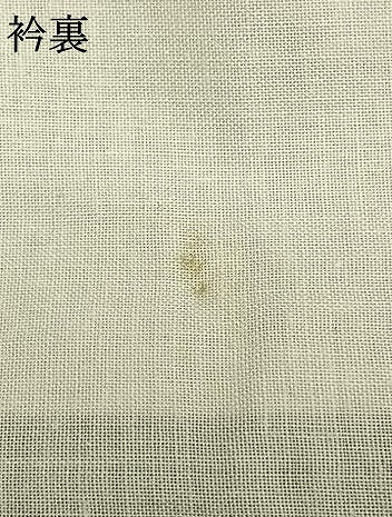 平和屋着物▽上質な紬 単衣 麻の葉文様 正絹 逸品 AABB2100fy