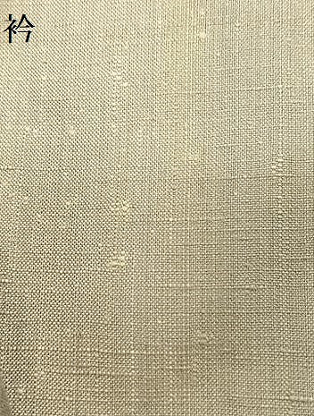 平和屋着物▽上質な紬 単衣 間道 正絹 逸品 AABB2204fy