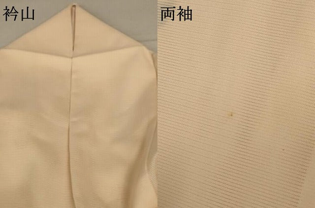 平和屋着物*夏物 訪問着 絽 流水草花文 洗える着物 AABB2595jd