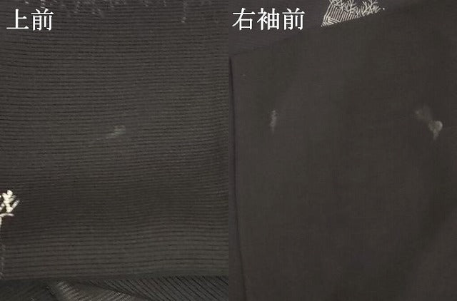 平和屋着物*夏物 訪問着 絽 竹垣文 正絹 逸品 AABB2597jd