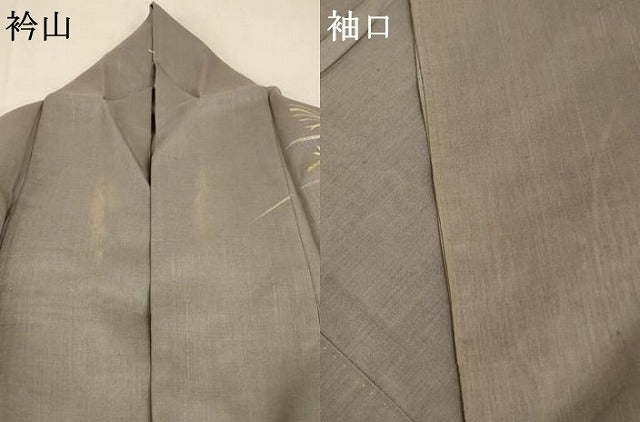 平和屋着物*夏物 訪問着 絹駒上布 蜻蛉 金銀彩 反端付き 正絹 逸品 AABB2598jd