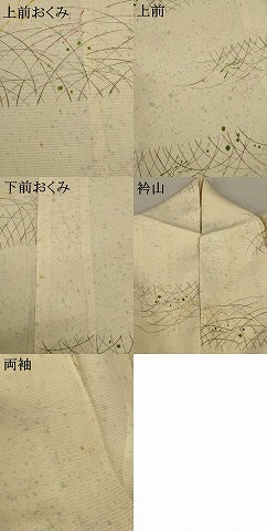 平和屋着物*夏物 小紋 絽 草葉文 三越扱い 正絹 逸品 AABB2614jd