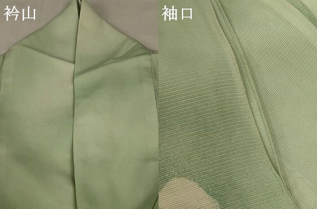 平和屋着物*夏物 訪問着 絽 草花文 暈し染め 正絹 逸品 AABB2627jd