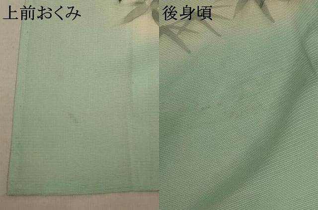平和屋着物*夏物 訪問着 絽 手描き 笹文 暈し染め ロング丈 正絹 逸品 AABB2635jd