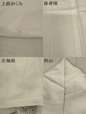 平和屋着物*夏物 訪問着 絽 樹林飛鶴文 正絹 逸品 AABB5932st