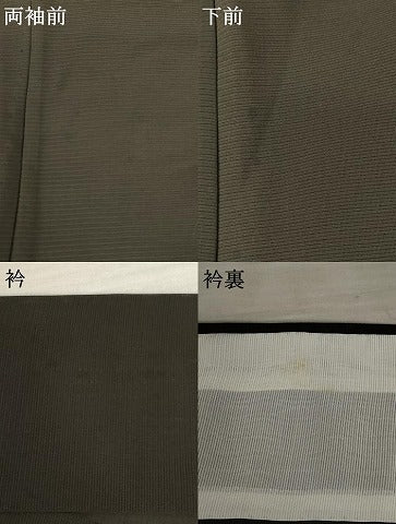 平和屋着物*夏物 訪問着 絽 横段文 黒地 正絹 逸品 AABB5942st