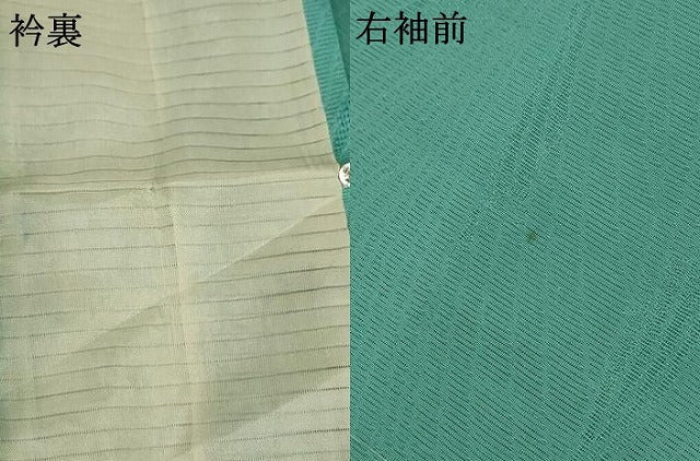 平和屋着物*夏物 色無地 絽 枝葉紋紗 青緑色 ロング丈 正絹 逸品 AABB6736jd