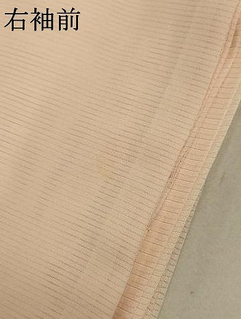 平和屋着物*夏物 訪問着 絽 笹竹文 正絹 逸品 AABB6739jd