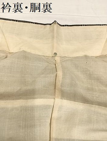 平和屋着物●本場大島紬 龍郷絣 秋名バラ 正絹 逸品 AABB8228ph