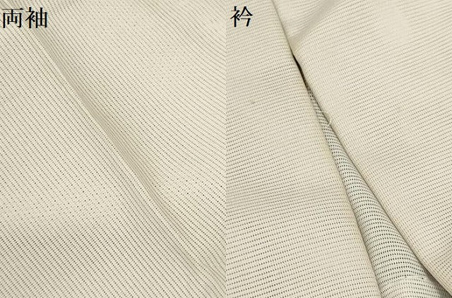 平和屋着物*夏物 訪問着 絽 文字文 洗える着物 AABB8803sx