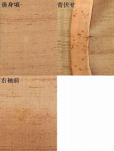 平和屋着物▽訪問着 単衣 白山 紬地 枝葉文 正絹 逸品 AABC0372fy
