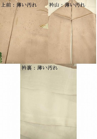平和屋着物■豪華色留袖 草花文 金糸 正絹 逸品 AABC1112ma