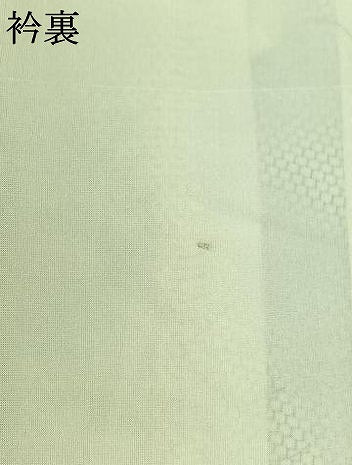 平和屋着物▽上質な紬 単衣 100亀甲 笹竹文 正絹 逸品 AABC1690jh