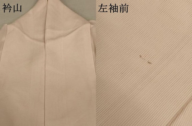 平和屋着物*夏物 訪問着 絽 辻が花 正絹 逸品 AABC1825jd