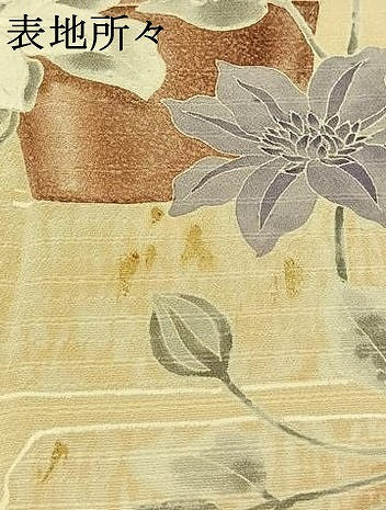 平和屋着物▽訪問着 単衣 草花文 正絹 逸品 AABC3184jh