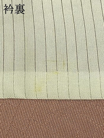 平和屋着物▽訪問着 単衣 刺繍 舞葉文 金彩 正絹 逸品 AABC4017fy