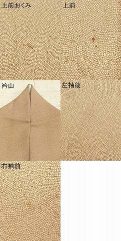 平和屋着物▽江戸小紋 単衣 作家物 鮫小紋柄 正絹 逸品 AABC4082fy