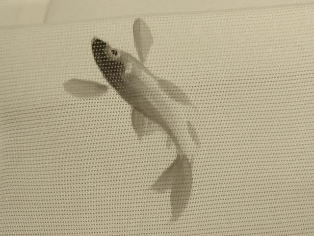 平和屋着物*夏物 訪問着 絽 笹竹文 魚 正絹 逸品 AABC9371jd