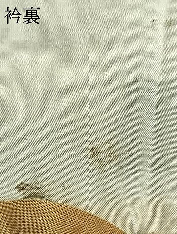 平和屋着物▽上質な紬 単衣 唐草花文 正絹 逸品 AABD0080fy