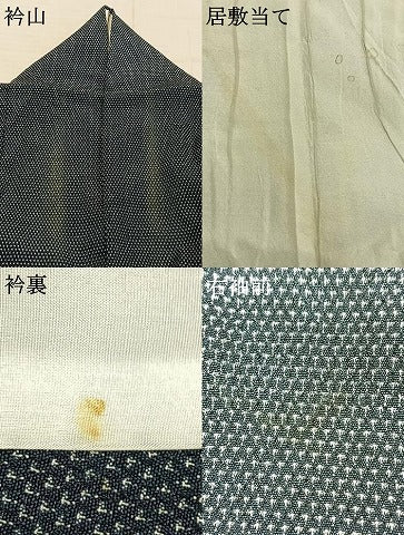 平和屋着物▽本塩沢 単衣 蚊絣 正絹 逸品 AABD0254fy