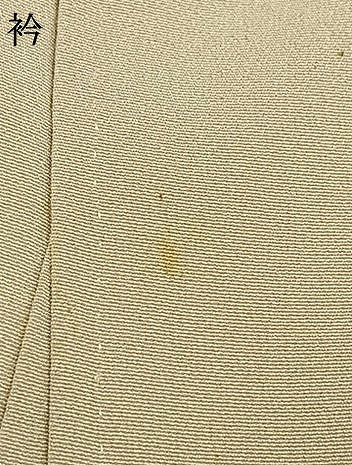 平和屋着物●豪華色留袖 舞蝶花鳥文 暈し染め 金糸 金彩 正絹 逸品 AABD0564fy