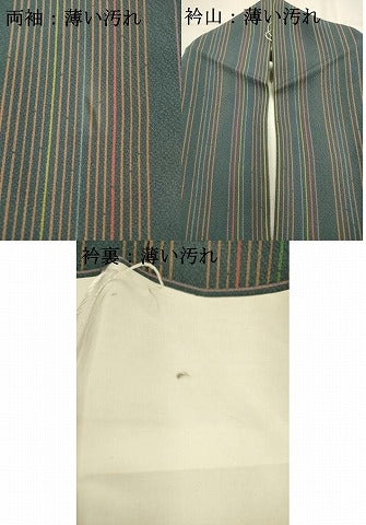 平和屋着物■訪問着 間道 正絹 逸品 AABD1413ma