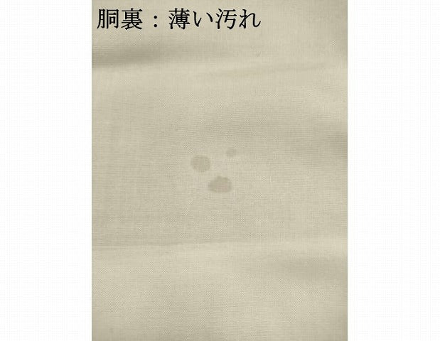 平和屋着物■上質な小紋 草花間道 正絹 逸品 AABD1429ma
