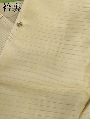 平和屋着物*夏物 小紋 絽 枝葉文 正絹 逸品 AABD3390jd