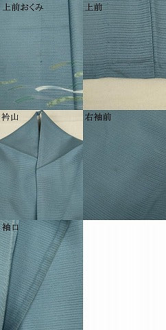 平和屋着物*夏物 訪問着 絽 熨斗 さんび謹製 洗える着物 AABD3399jd