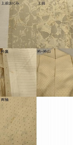 平和屋着物*夏物 訪問着 紗 舞蝶文 正絹 逸品 AABD4611jd