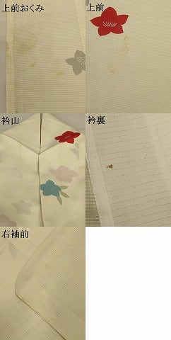 平和屋着物*夏物 小紋 絽 舞花文 正絹 逸品 AABD4653jd