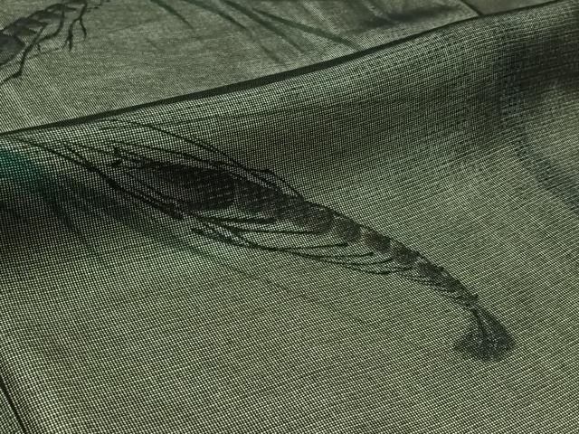 平和屋着物▽訪問着 紗袷 紗×絽 手描き 草葉文 海老 正絹 逸品 AABD6445jh
