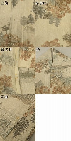 平和屋着物*夏物 紗紬 風景文 正絹 逸品 AABD6565jd