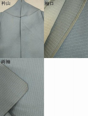 平和屋着物*夏物 訪問着 絽 手描き 蔦の葉文 暈し染め ロング丈 正絹 逸品 AABD8995jd