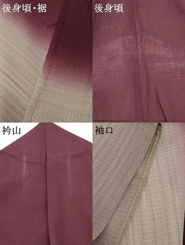 平和屋着物*夏物 訪問着 絽 縞 暈し染め 正絹 逸品 AABD8996jd