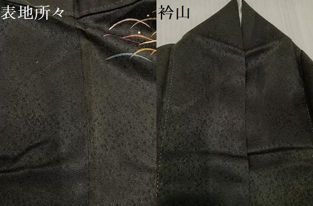 平和屋着物●訪問着 貝桶露芝文 黒地 正絹 逸品 AABD9849ph