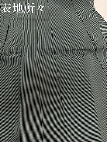 平和屋着物●男性 馬乗り袴 縞 正絹 逸品 AABE0781ph