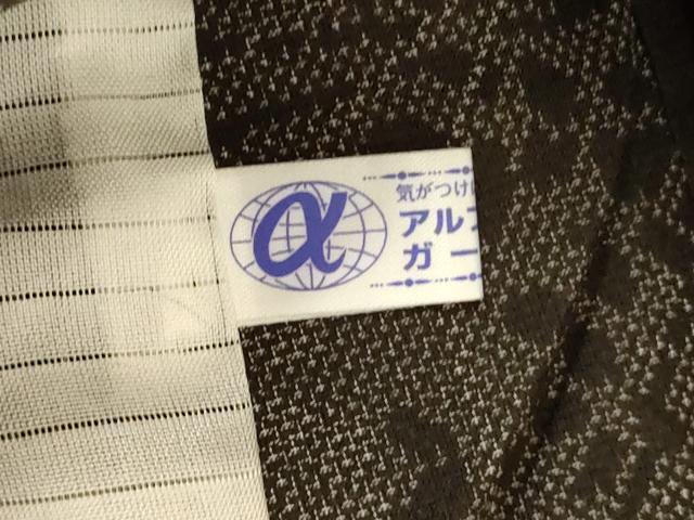 平和屋着物*夏物 本場大島紬 夏大島 草葉文 正絹 逸品 AABE1340jd