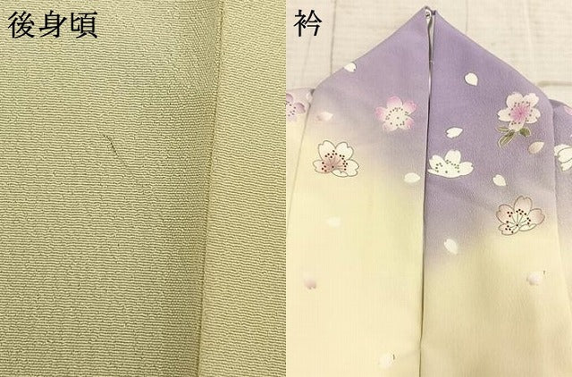 平和屋着物●小振袖 二尺袖 草花文 暈し染め 金彩 洗える着物 AABE1843fy